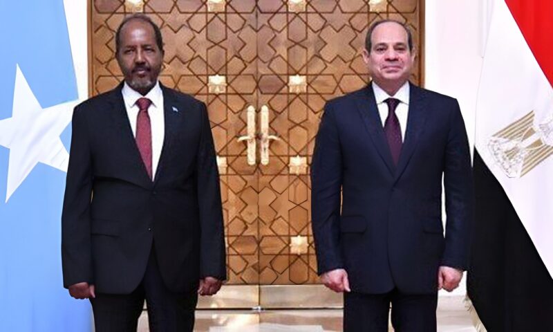 الرئيس السيسي يشيد بتطور العلاقات المصرية الصومالية بعد وصولها للشراكة الاستراتيجية الشاملة
