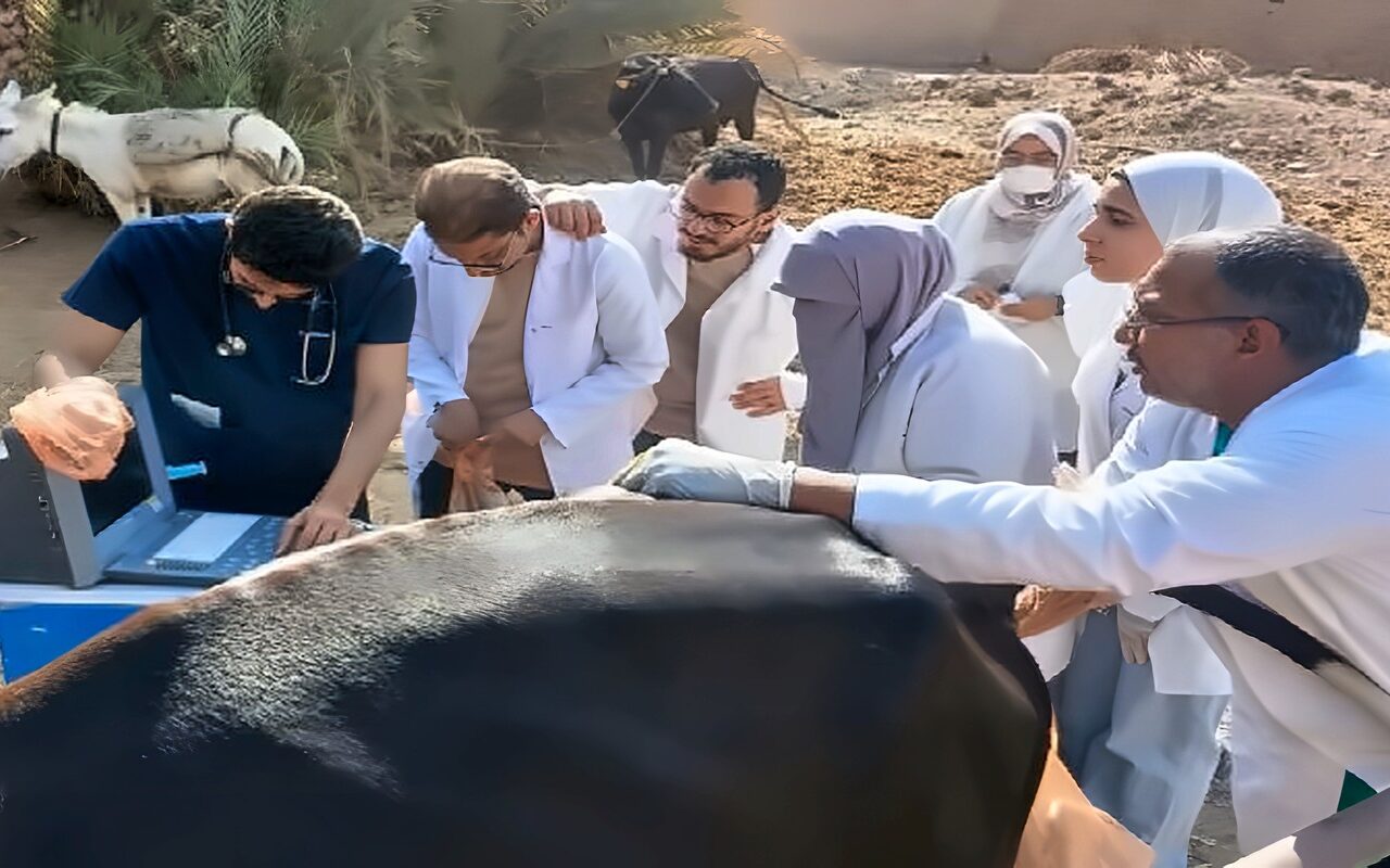 احمِ ثروتك الحيوانية.. قافلة بيطرية بأبو الريش بحري لدعم المربين وحماية المواشي بأسوان