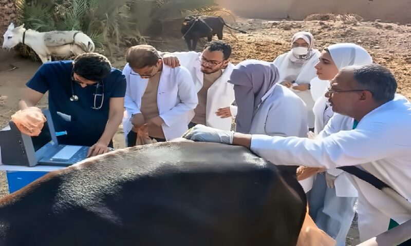 احمِ ثروتك الحيوانية.. قافلة بيطرية بأبو الريش بحري لدعم المربين وحماية المواشي بأسوان