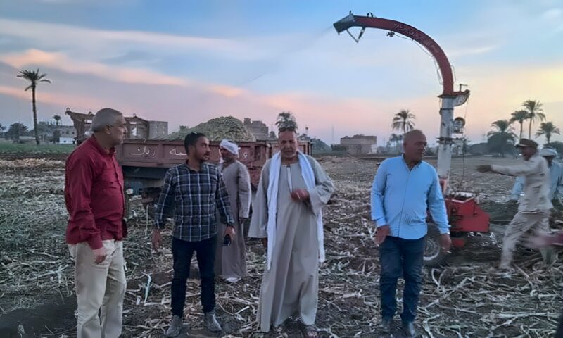 تدريب المزارعين بأسيوط على إعداد السيلاج بالقرى بالشراكة مع «الفاو»
