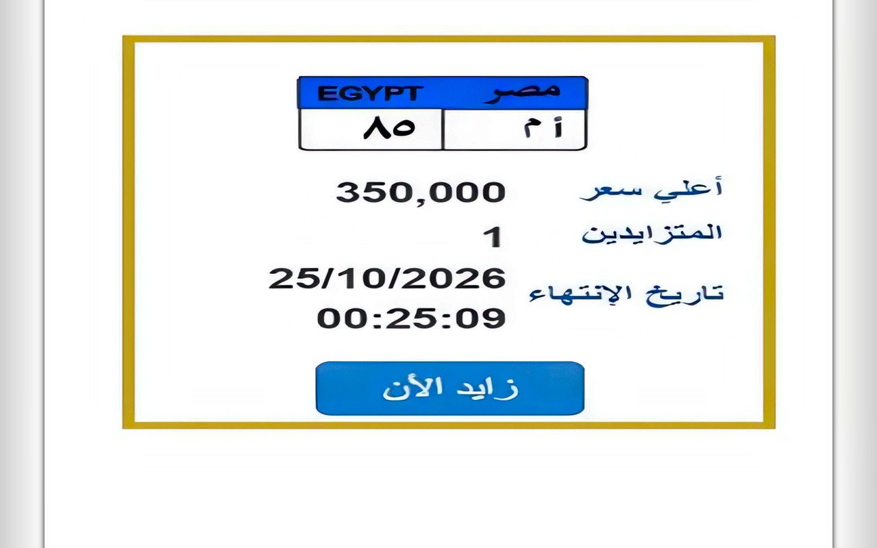 لوحة سيارة مميزة تصل إلى 350 ألف جنيه في مزاد مرور مصر