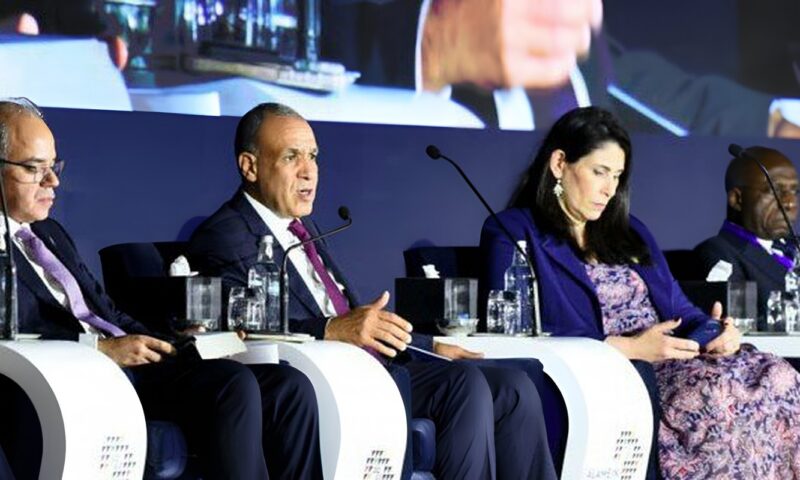 وزير الخارجية يشارك في جلسة نقاشية حول دور الدبلوماسية الاقتصادية في تعزيز التجارة في أفريقيا