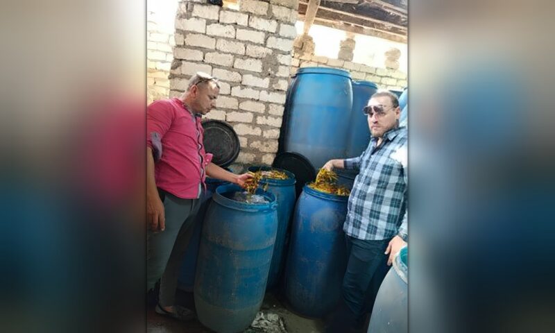 ضبط 150 كيلو لحوم فاسدة و4 أطنان مخللات فى حملات رقابية ببنى سويف