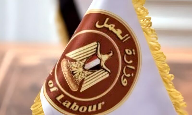 براتب يصل لـ 25 ألف جنيه.. وزارة العمل تعلن عن 37 فرصة عمل بالقاهرة