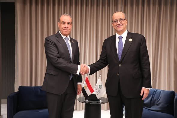 عبد العاطي يؤكد أهمية اضطلاع منظمة التعاون الإسلامي بدورها في حماية المقدسات بالقدس