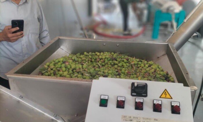 وزير الزراعة يتابع إنتاج الزيتون وتشغيل معصرة جديدة بشمال سيناء
