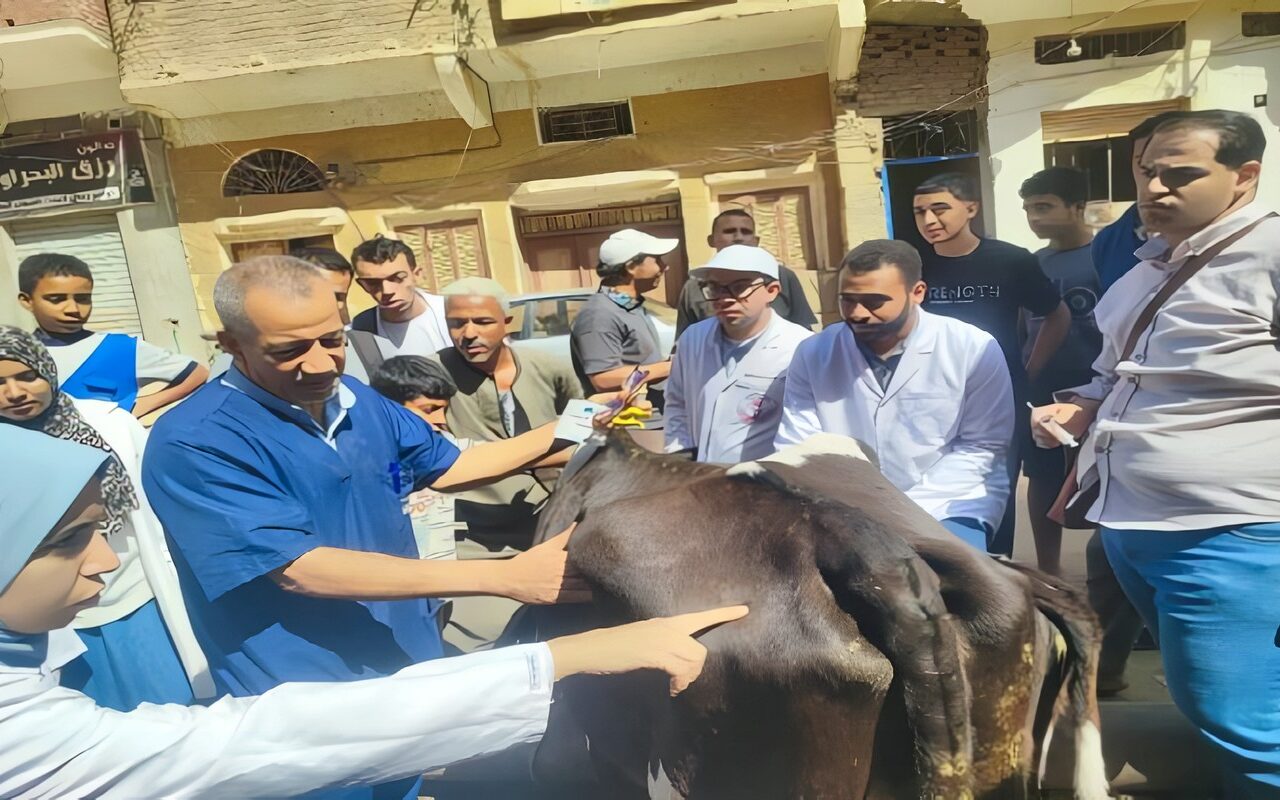 جامعة سوهاج تُعالج 200 حالة بيطرية مجاناً في قرية الرويهب بالمنشأة