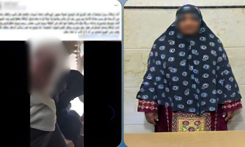 بسبب خلاف على جمع الأجرة.. ضبط المتهمة بضرب طالب في البحيرة