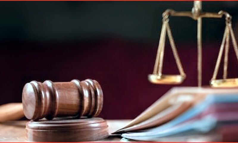 اليوم.. استكمال محاكمة 11 متهمًا في «خلية حلوان»