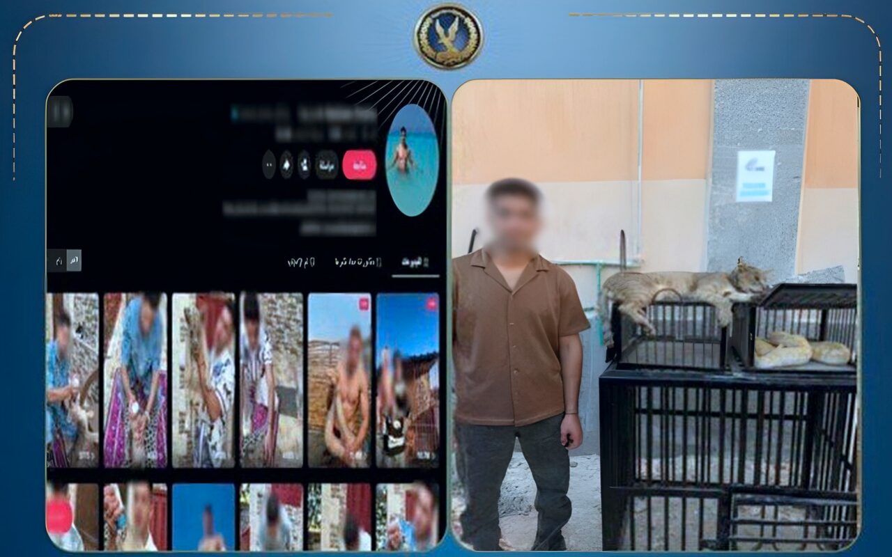 ضبط شخص قام بتربية الحيوانات والزواحف الخطرة أعلى عقار محل سكنه