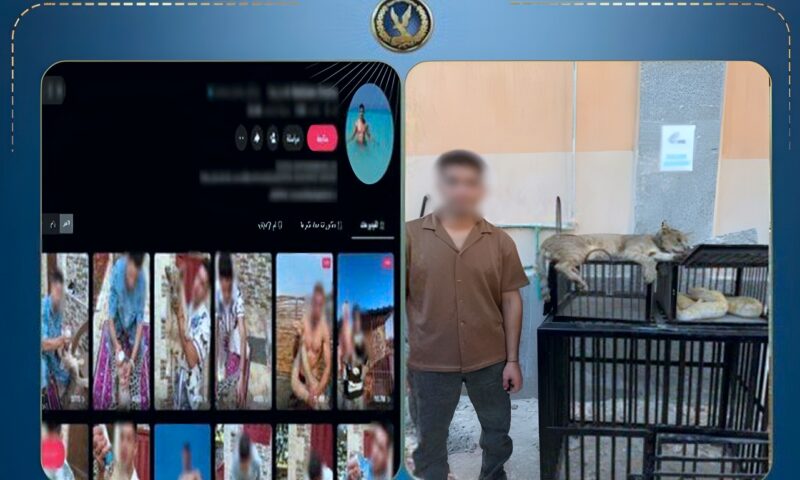 ضبط شخص قام بتربية الحيوانات والزواحف الخطرة أعلى عقار محل سكنه
