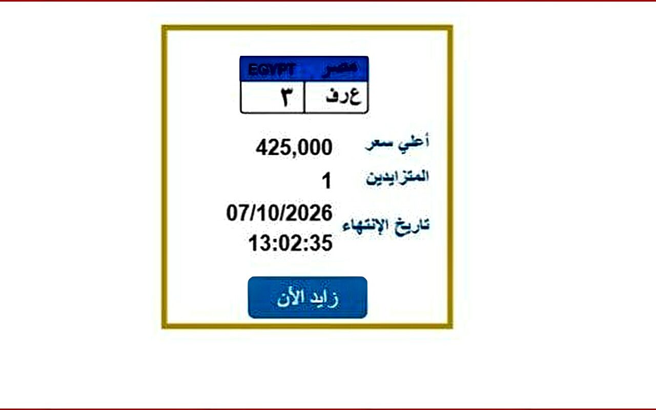 «ع ر ف 3».. المرور تطرح لوحة سيارة مميزة| اعرف خطوات الحصول عليها
