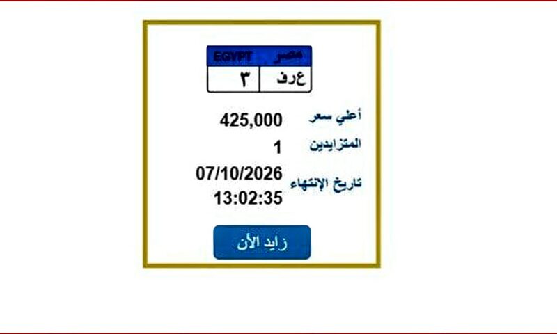 «ع ر ف 3».. المرور تطرح لوحة سيارة مميزة| اعرف خطوات الحصول عليها