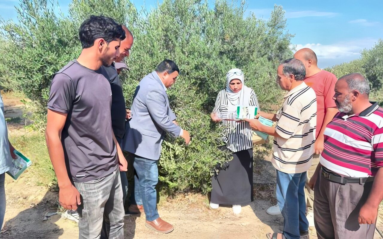 «الزراعة» تطلق حملة لمكافحة القوارض لتأمين المحاصيل الشتوية