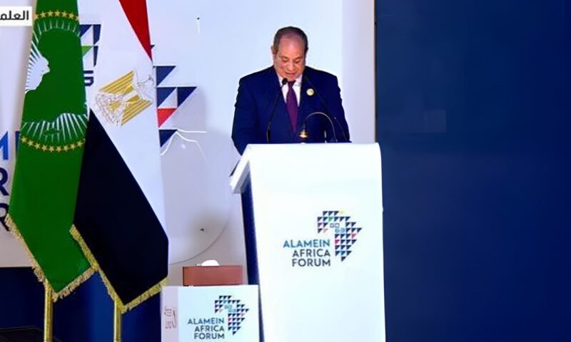 الرئيس السيسي: التنمية الاقتصادية لا تبنى في دول غير مستقرة