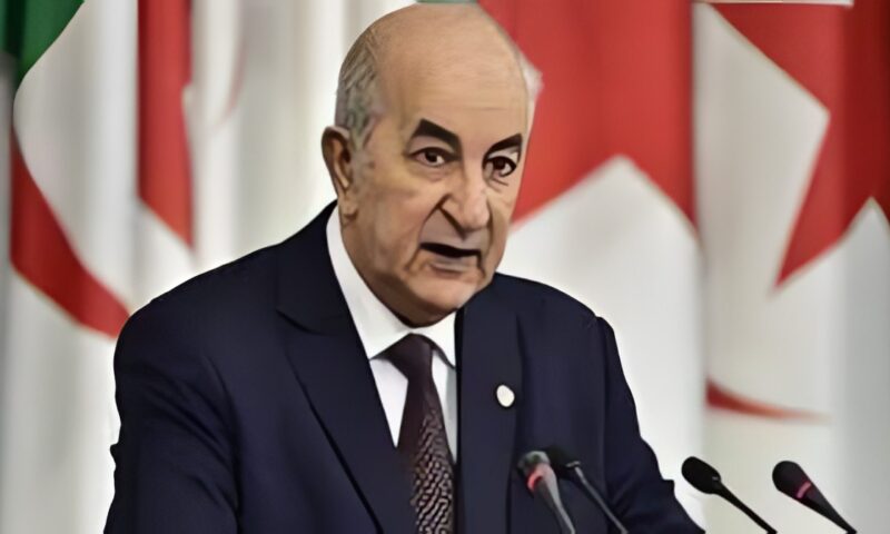 الجزائر تعلن رسميًا إرسال وحدات من الجيش إلى النيجر