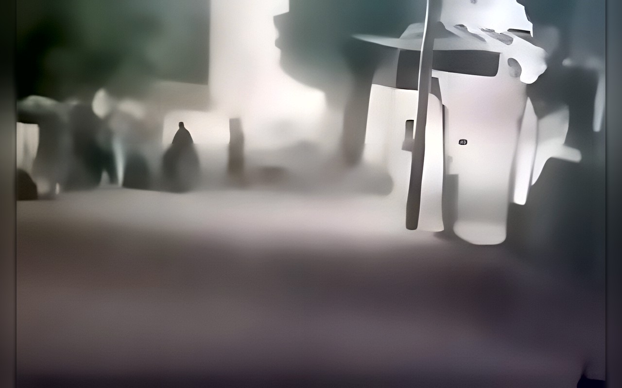 بسبب خلافات عائلية.. ضبط المتهمين بضرب سيدة وإحداث إصابتها في الغربية