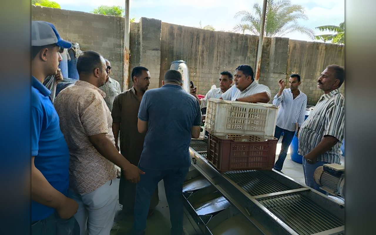ضبط 12 مصنعًا مخالفًا لتخليل الزيتون بالفيوم.. وإزالة مواسير الصرف الملوثة لبحر فيديمين