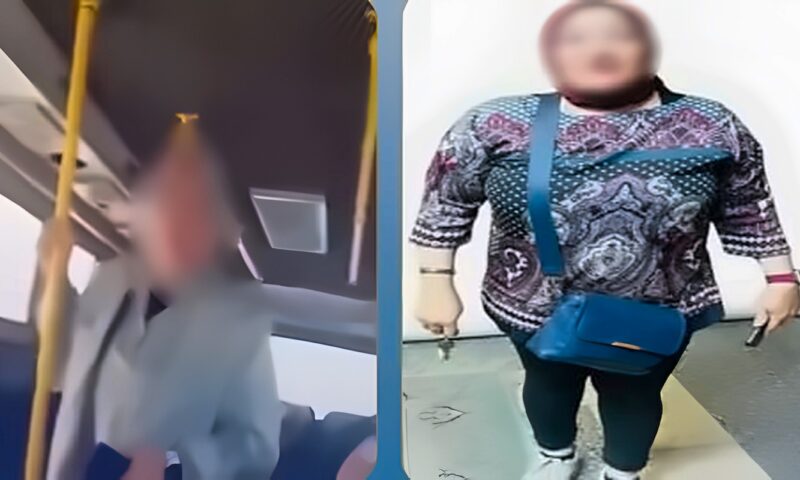 ضبط سيدة زعمت أنها ضابطة شرطة واعتدت على سائق بألفاظ مسيئة في القاهرة