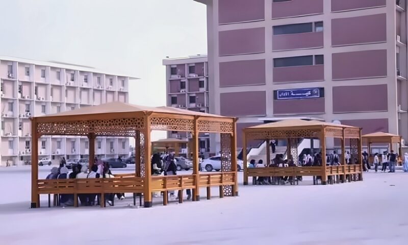 جامعة قنا تدعم جودة الحياة الطلابية بإنشاء برجولات جديدة بساحتي العلوم والآداب