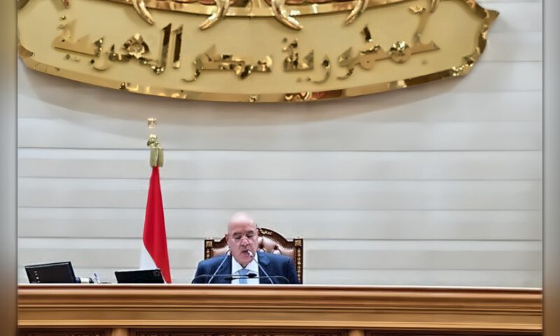سليمان لـ«الاقتصادية» ومحجوب لـ«التشريعية» وأبو هميلة لـ«العربية».. مصادر تكشف توقعات تشكيل هيئات لجان النواب