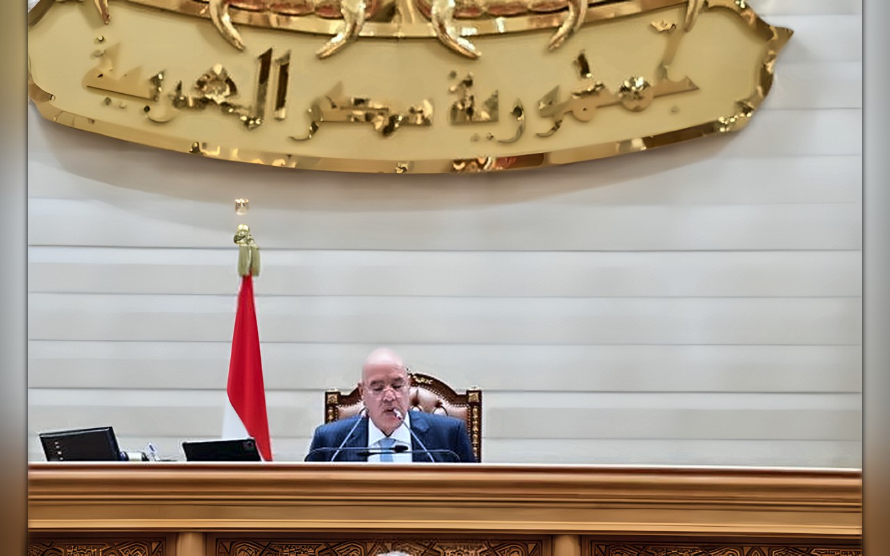 سليمان لـ«الاقتصادية» ومحجوب لـ«التشريعية» وأبو هميلة لـ«العربية».. مصادر تكشف توقعات تشكيل هيئات لجان النواب