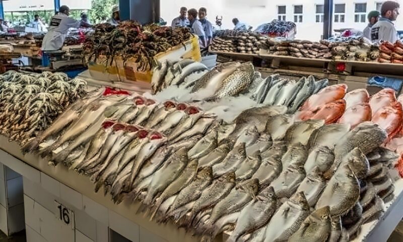 أسعار السمك والجمبري اليوم الاثنين 12 أكتوبر 2026.. البلطي والاستاكوزا بكام؟