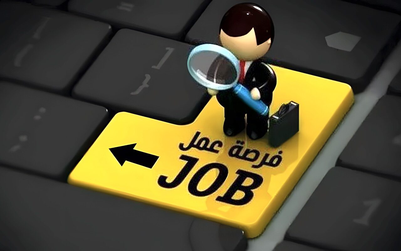 فرص عمل برواتب 15 ألف جنيه في الإسكندرية.. التخصصات والشروط والأوراق المطلوبة