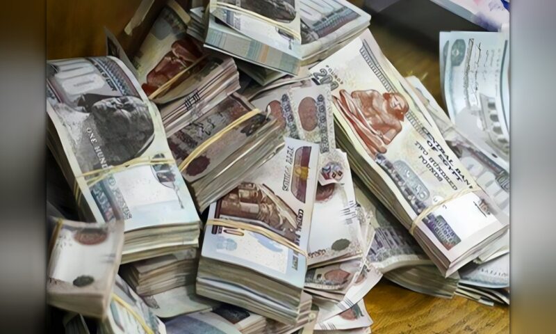 جمعوها من تجارة «الكيف».. ضبط 6 عناصر جنائية بتهمة غسل 100 مليون جنيه بالقليوبية