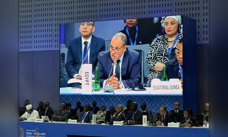 بدر عبد العاطي يدعو البنك الدولي لإزالة معوقات الاستثمار في أفريقيا