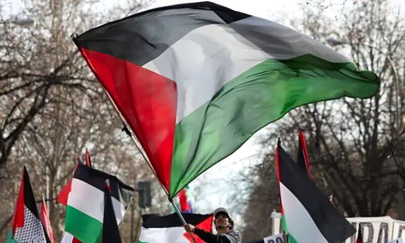 الرئيس السيسي: لا تسوية عادلة للقضية الفلسطينية دون دولة مستقلة على حدود 1967