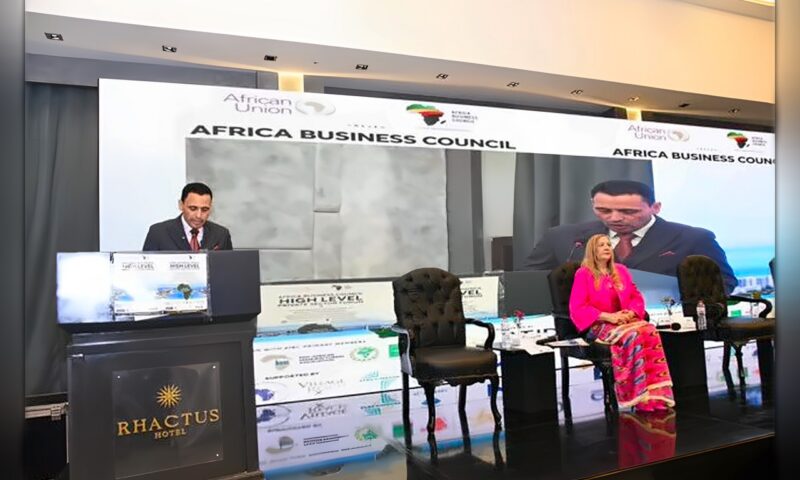 النائب إسلام التلواني: يجب إشراك المغتربين الأفارقة في مسيرة التنمية بالقارة