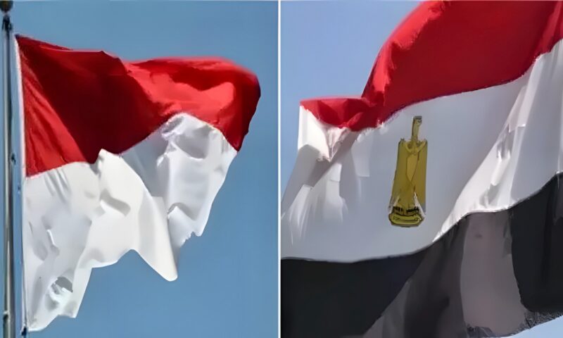 الإحصاء: التبادل التجاري بين مصر وإندونيسيا يسجل 1.6 مليار دولار خلال 8 أشهر