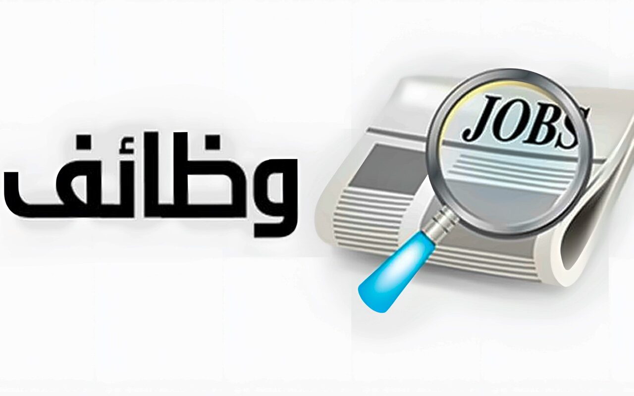 فرص عمل جديدة للشباب.. 33 شركة خاصة توفر 2539 وظيفة في 11 محافظة