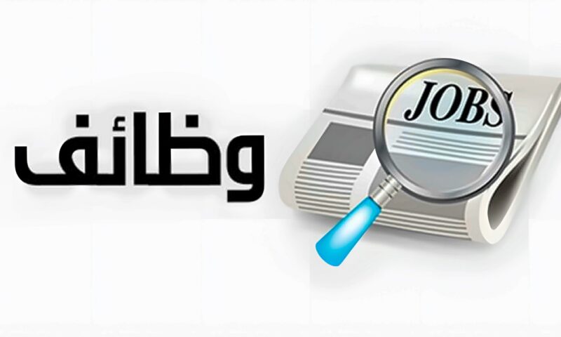 فرص عمل جديدة للشباب.. 33 شركة خاصة توفر 2539 وظيفة في 11 محافظة