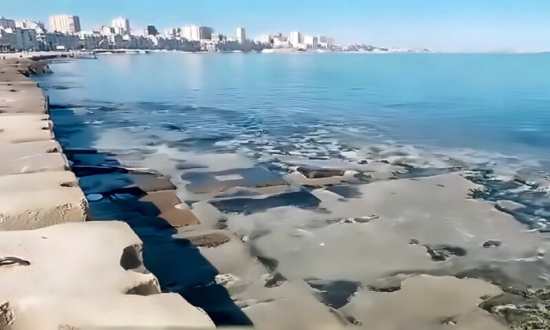 أستاذ بعلوم البحار يكشف حقيقة انحسار مياه البحر بمحطة الرمل و المنشية في الإسكندرية