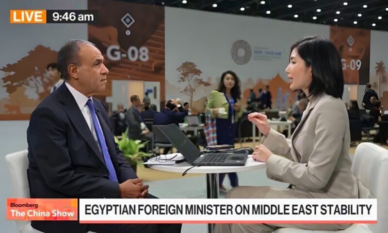 بدر عبد العاطي يستعرض أمام «بلومبرج» نتائج التحركات الرئاسية في آسيا