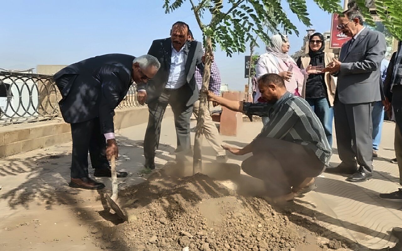 محافظ سوهاج يطلق مبادرة «بصمة خضراء.. اعرف شجرتك» ضمن المبادرة الرئاسية «100 مليون شجرة»