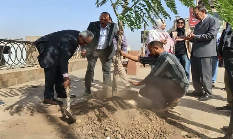 محافظ سوهاج يطلق مبادرة «بصمة خضراء.. اعرف شجرتك» ضمن المبادرة الرئاسية «100 مليون شجرة»