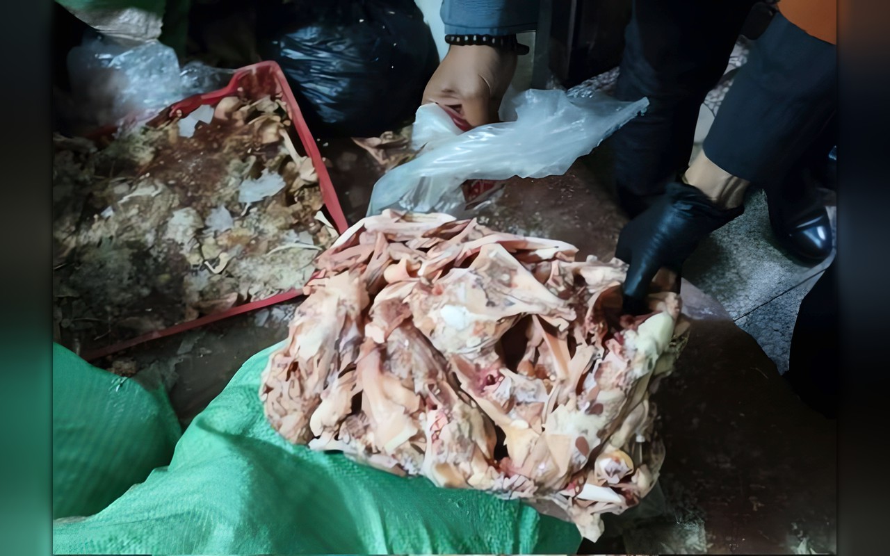 ضبط 3 أطنان من هياكل وجلود الدواجن غير الصالحة للاستهلاك الآدمي في حملة مسائية بالخصوص