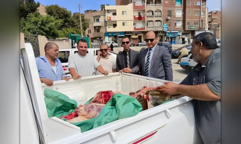 ضبط 460 كيلو لحوم فاسدة وغير صالحة للاستهلاك الآدمي في حملات مكبرة ببني سويف