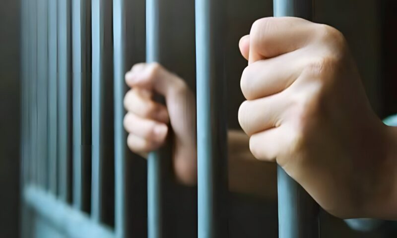 تأجيل محاكمة زوج متهم بقتل زوجته بسبب خلافات زوجية بالشرقية لجلسة نوفمبر