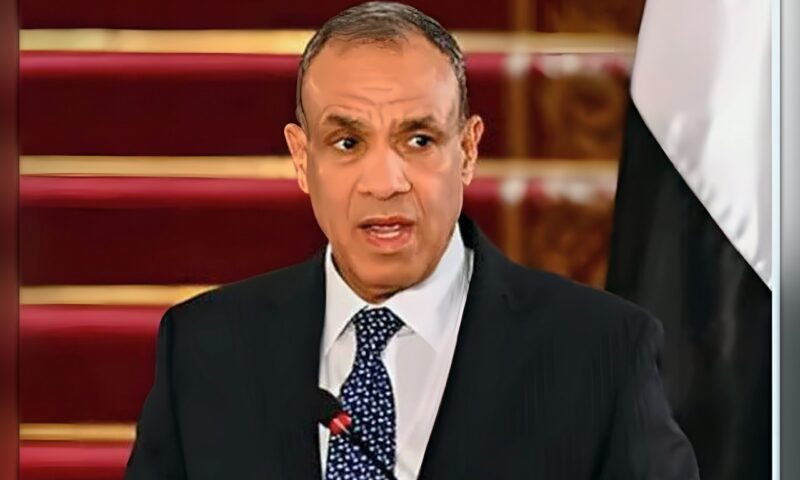 وزير الخارجية: مصر تحركت منذ اليوم الأول لدعم دول الخليج
