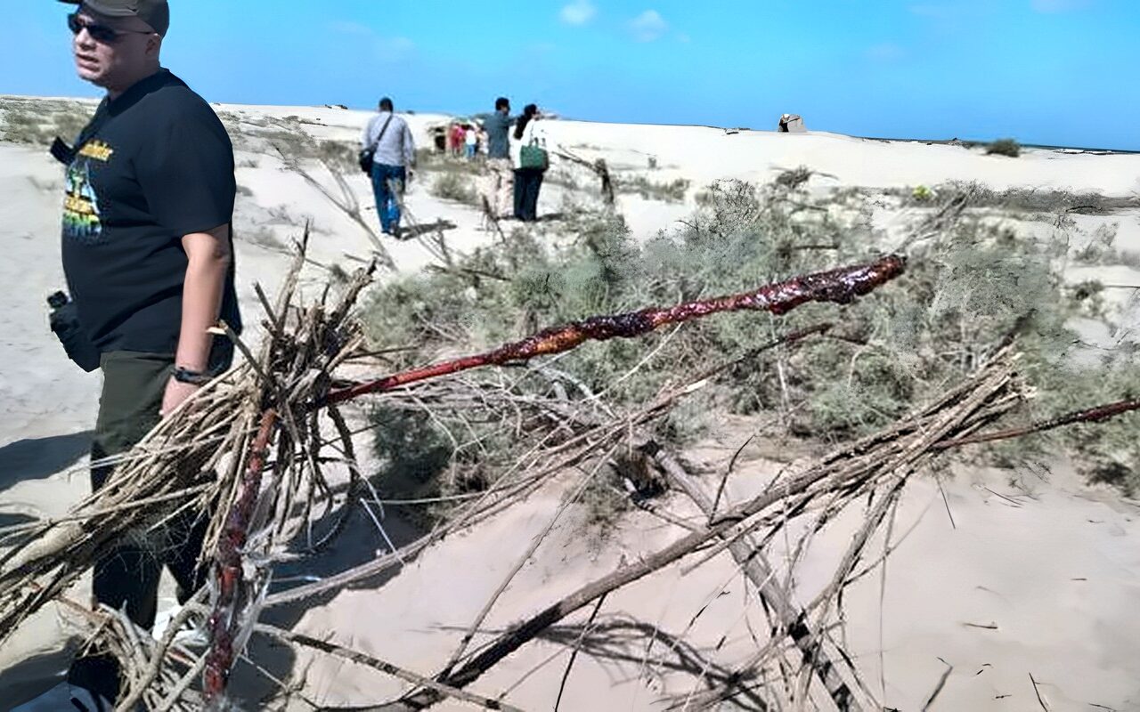من السماء إلى الشباك القاتلة.. رحلة الطيور المهاجرة التي تنتهي أحيانًا بلا عودة