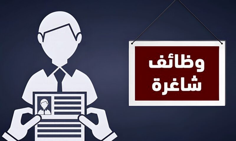 وزارة العمل توفر وظائف بالقاهرة برواتب تصل إلى 25 ألف جنيه