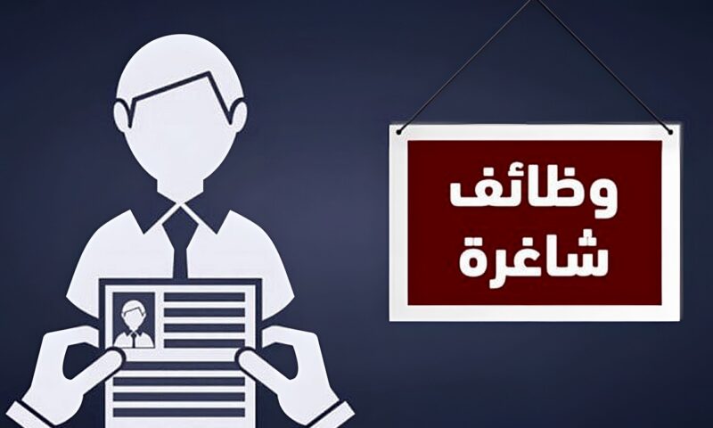 وظائف وزارة العمل براتب يصل إلى 16 ألف جنيه.. اعرف التخصصات المطلوبة