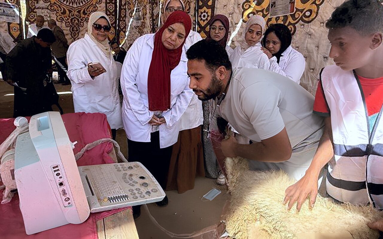 بالتزامن مع يوم العصا البيضاء.. «ريادة بإرادة» تنظم تجربة بيئية فريدة للمكفوفين على ضفاف نيل أسوان