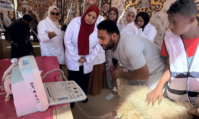 بالتزامن مع يوم العصا البيضاء.. «ريادة بإرادة» تنظم تجربة بيئية فريدة للمكفوفين على ضفاف نيل أسوان