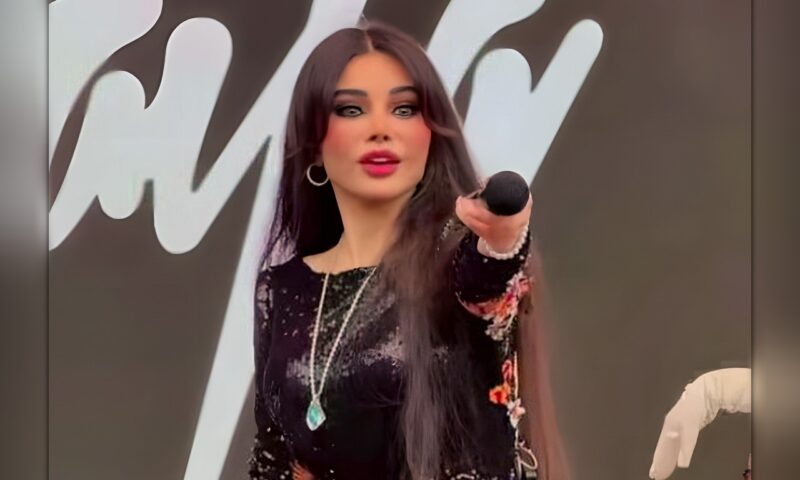 السجن 3 سنوات لمدير أعمال هيفاء وهبي السابق في قضية غسل الأموال
