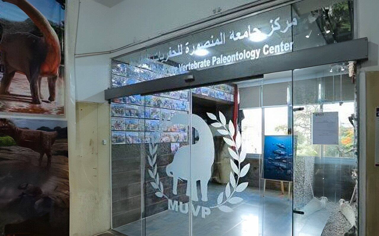 مجلس الوزراء يستعرض إنجازات مركز جامعة المنصورة للحفريات الفقارية عالميًا